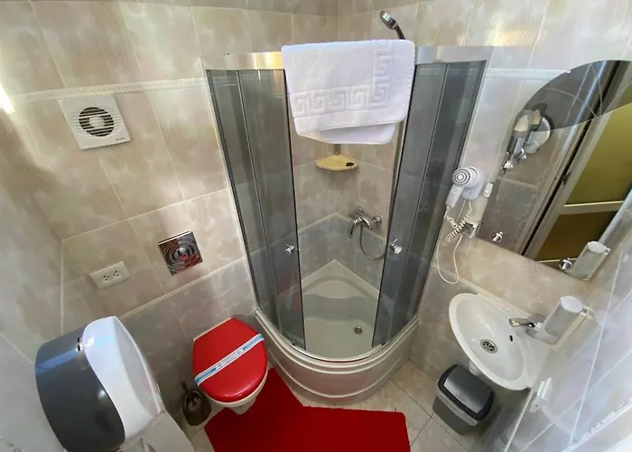 Гостьовий будинок графа *